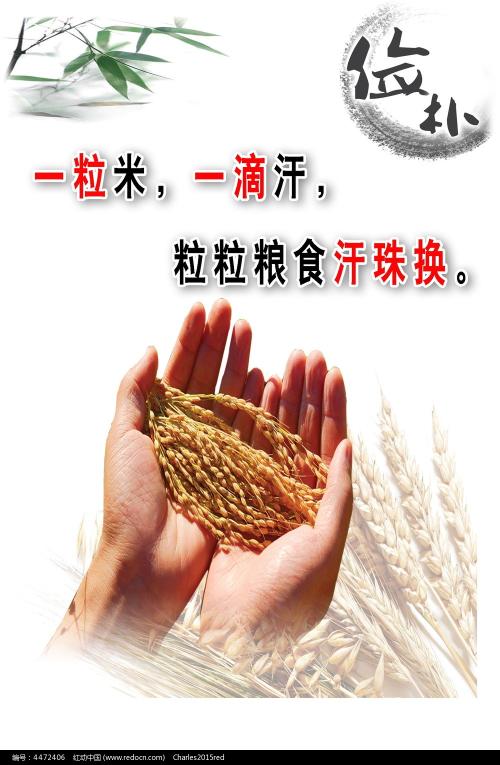 Libera Università di Bolzano文凭